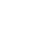 公式X